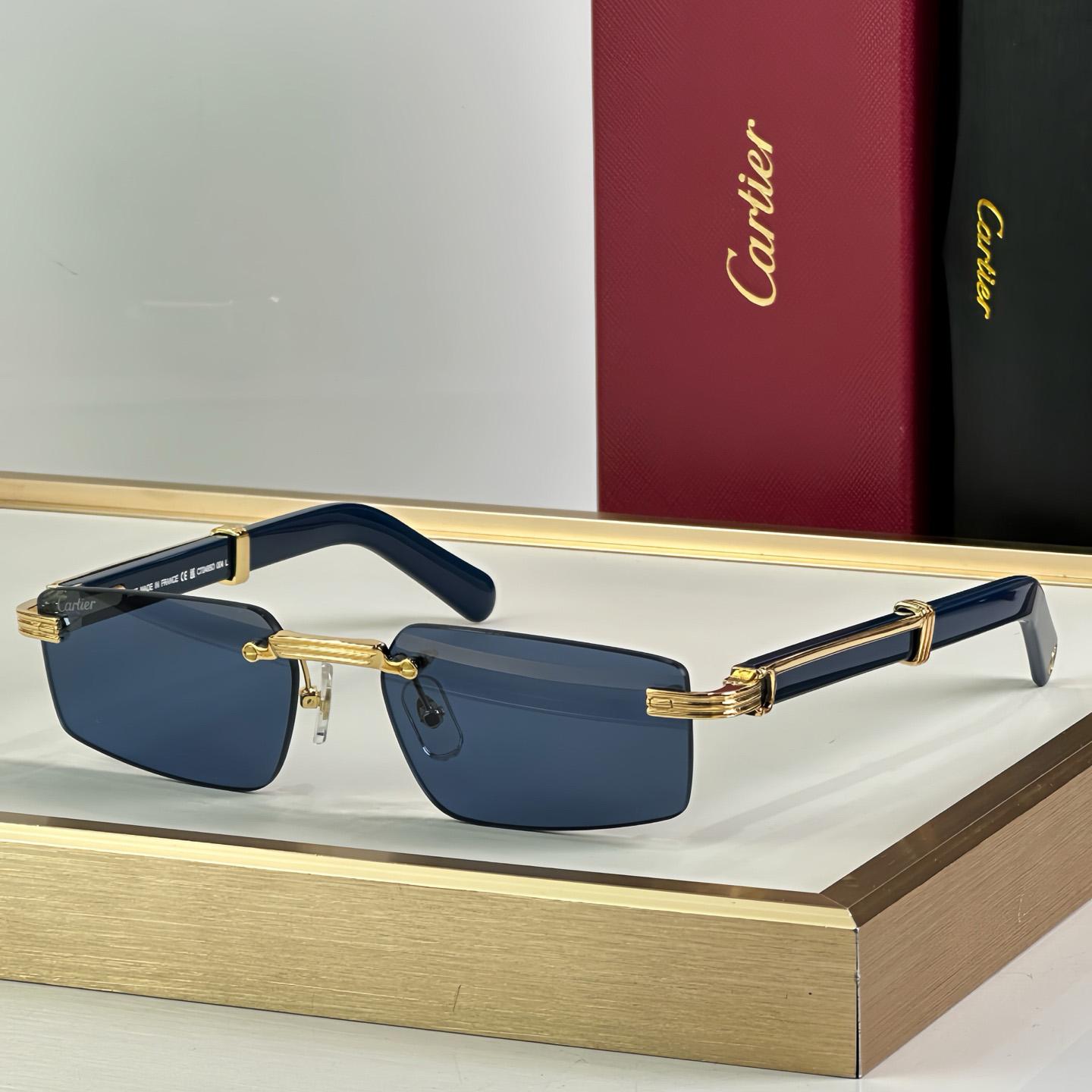 Cartier 0485O Sunglasses   ct0464s - EUR FASHION