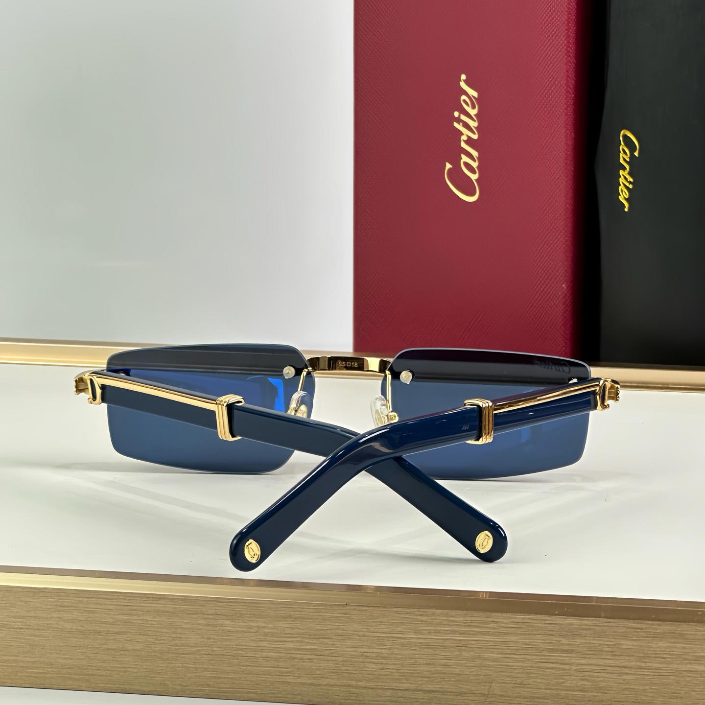 Cartier 0485O Sunglasses   ct0464s - EUR FASHION