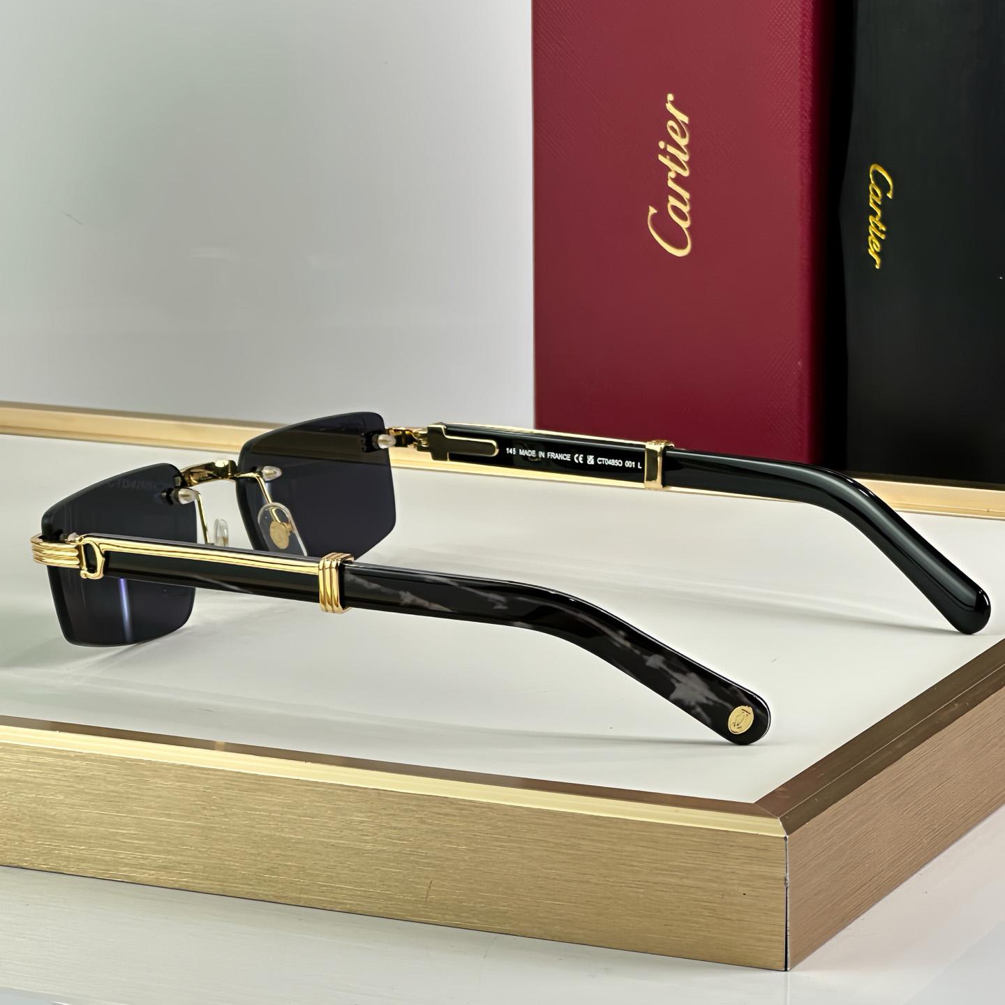 Cartier 0485O Sunglasses   ct0464s - EUR FASHION