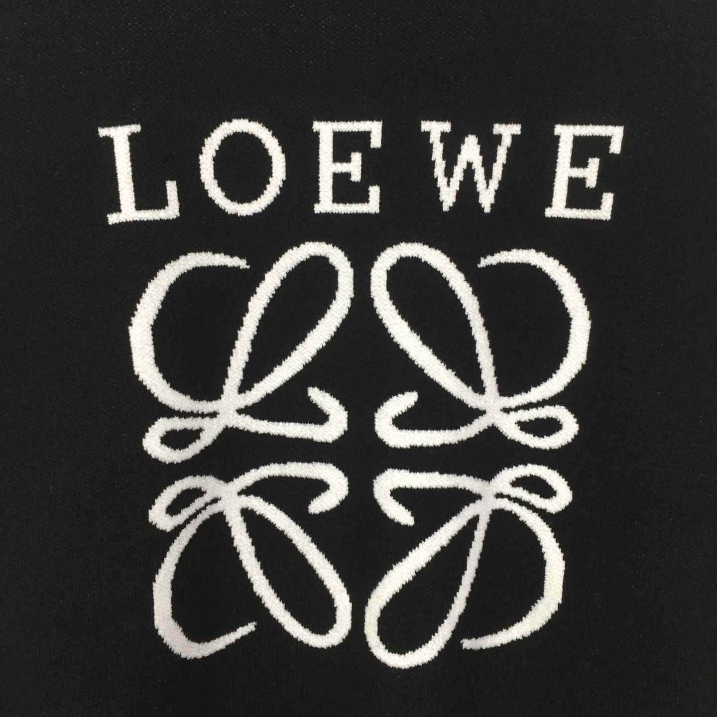 Loewe Sweater - EUR FASHION