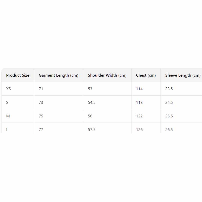 Balenciaga T-Shirt Medium Fit  - EUR FASHION